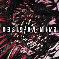 Obsidian Mind