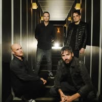 Pineapple Thief