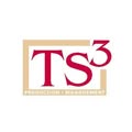 TS3