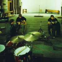 Doves
