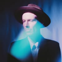 The Veils