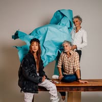 Blonde Redhead
