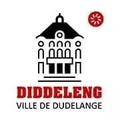 Town of Dudelange, Service Culturel