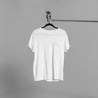 Plain White T's