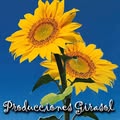 Exclusivas Millán logo