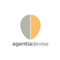 Agentia de Vise SRL logo