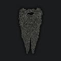 Grey Beard Concerts & Management