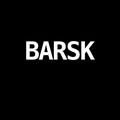 Barsk Agency logo