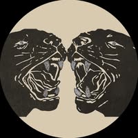 Black Pumas
