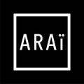 ARAi Agency logo