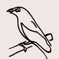 Bird Call Bookings logo