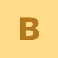 Borough Council
