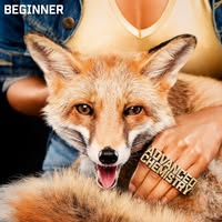 Beginner