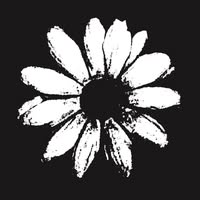 Cardiacs